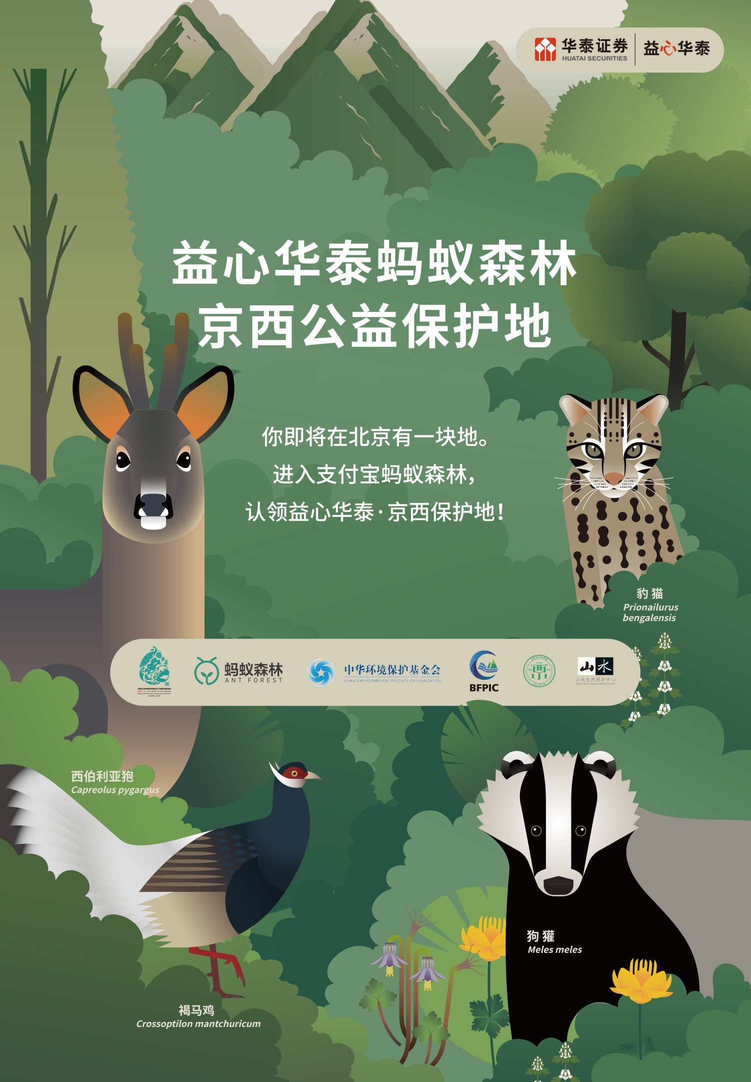 华泰证券官方网站 Huatai Securities